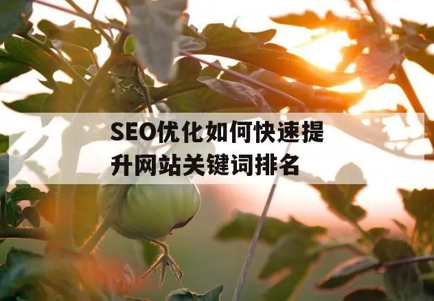 關鍵詞快速排名優化10個方法技巧